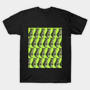 Pattern of cute tabby cat on green background T-Shirt